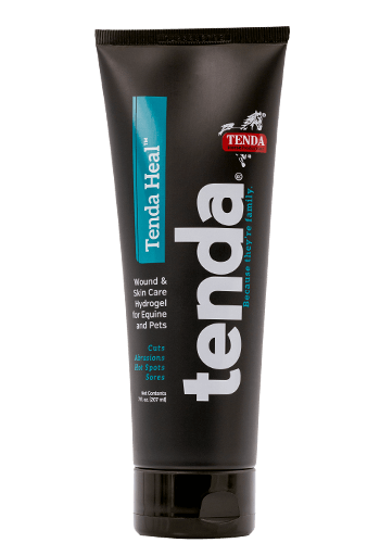 Painaway Cream - Leg & Muscle Care - Tenda Equine & Pet Care Products